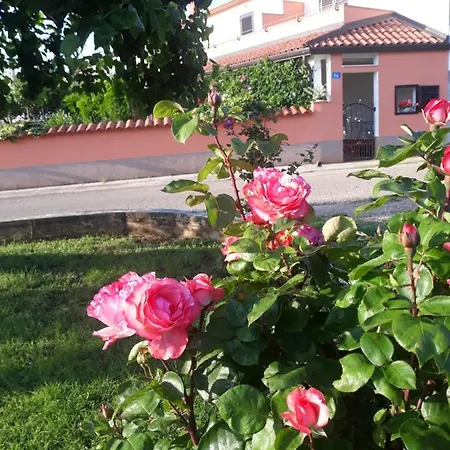 Casa Ani * Умаг