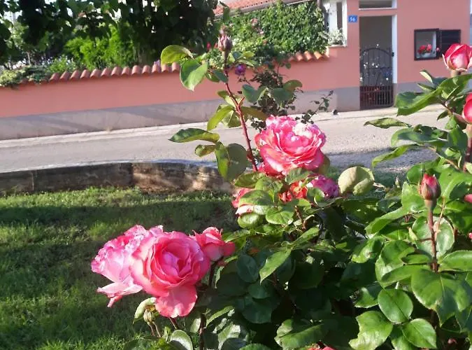 Casa Ani * Umag