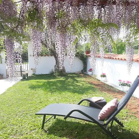 Casa Ani